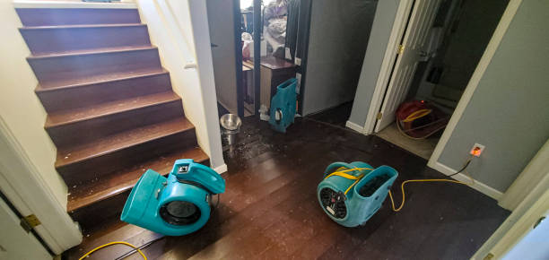 Best Mold removal after water damage  in Elkhart, IN