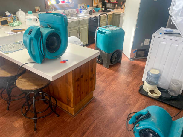 Best Local water damage restoration  in Elkhart, IN