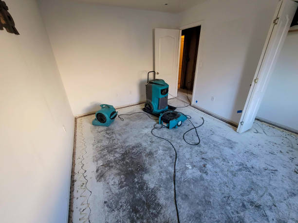 Best 24-hour water damage restoration  in Elkhart, IN