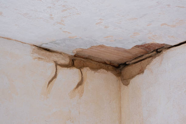  Elkhart, IN Water damage restoration Pros