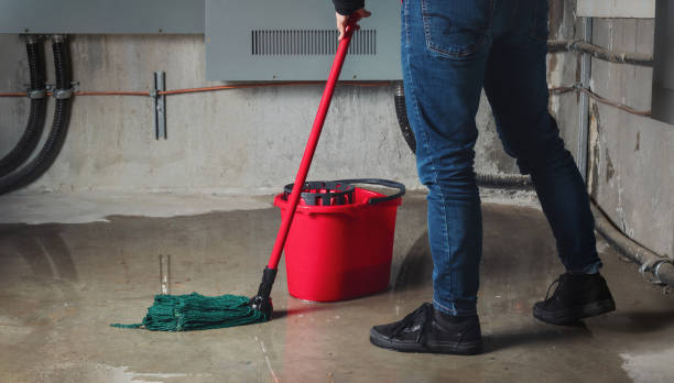 Best Water damage contractors near me  in Elkhart, IN