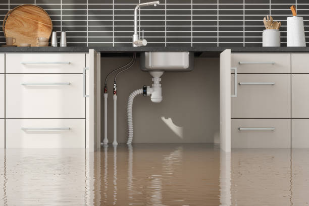 Best Carpet water damage restoration  in Elkhart, IN