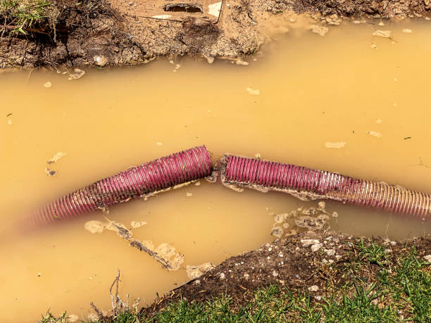 Best Emergency water damage restoration  in Elkhart, IN
