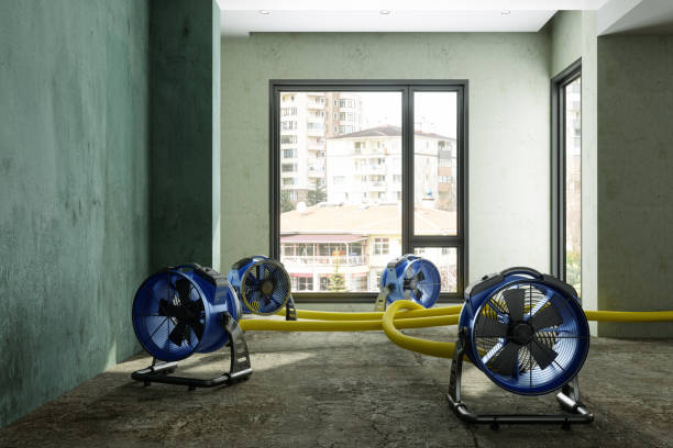 Best Water damage restoration near me  in Elkhart, IN